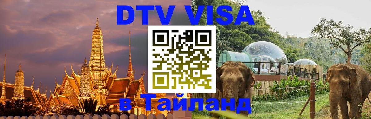 Оформить DTV визу в Тайланд Ханой 